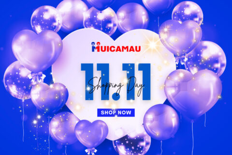 11.11 – Ngày hội mua sắm trực tuyến lớn nhất trong năm