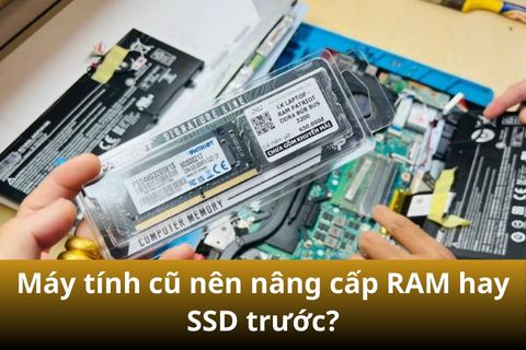 Máy tính cũ nên nâng cấp RAM hay SSD trước?